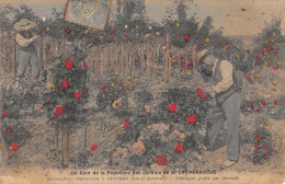 CPA 47 SEYCHES UN COIN DE LA PEPINIERE DES JARDINS DE H.CHAVARROCHE HORTICULTEUR - Andere & Zonder Classificatie