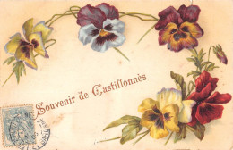 CPA 47 SOUVENIR DE CASTILLONNES - Andere & Zonder Classificatie