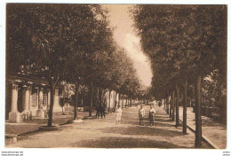Delcampe - GRADO:  VIA  DANTE  ALIGHIERI  -  FP - Gorizia