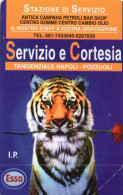 ITALY - MAGNETIC CARD - TELECOM - PRIVATE RESE PUBBLICHE - 273 - ESSO - ANIMAL - TIGER - MINT - Privadas Reediciones