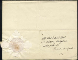 Cover 1844, CARLO ALBERTO DI SAVOIA, Decreto Per La Nascita Di Un Figlio Della Duchessa Di Savoia, Sua Nuora. Firma Auto - Sardinia