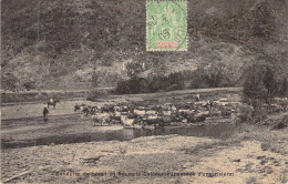 NOUVELLE CALEDONIE - Conduite De Bétail - Passage D'une Rivière - Carte Postale Ancienne - Nouvelle Calédonie