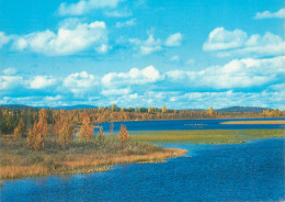 Delcampe - Finland Autumn Colours Picturesque Natural Landscape - Finnland