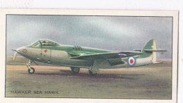 14 Hawker Sea Hawk - Modern British Aircraft 1953 - Beaulah Tea -  Trade Card - Churchman