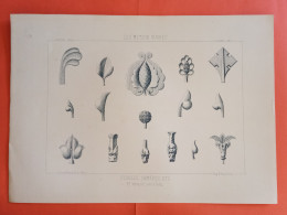 LES METAUX OUVRES 1889 LITHO FER FONTE CUIVRE ZINC " Feuilles , Chimètres Mr Verneuil Serrurier à Paris " 1 PLANCHE - Architecture