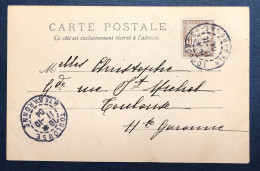France Sur CPA De Toulouse (local) + TAXE - 11.10.1904 - (N700) - 1859-1959 Storia Postale