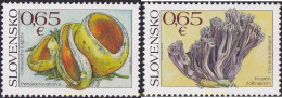 700516 MNH ESLOVAQUIA 2017 SETAS - Unused Stamps