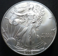 Stati Uniti D'America - 1 Dollaro 2002 - Aquila Americana - KM# 273 - Non Classificati