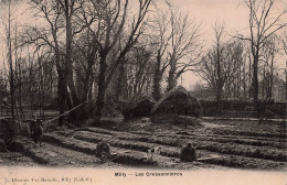 Milly * Les Cressonnières * Travail Aux Champs * Agriculture - Milly La Foret