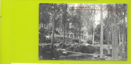 MONTSENY Carte Photo Cami De S. Segimont La Nugarola Espagne - Tarragona