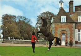 23-JK-1372 : LE HARAS DU PIN. EXMES. EMIR DU MESNIL - Exmes