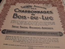 S.A. Des Charbonnages Du Bois-du-Luc - Obligation De 500 Frs. Au Porteur - Houdeng-Aimeries 1er Janvier 1937. - Mines