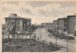 Lazio - Latina (Littoria) - Palazzo Delle Poste. - - Estadios E Instalaciones Deportivas