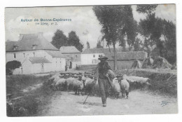 51602  Estinnes    Autour  De  Bonne  Esperance  Troupeau  Moutons - Estinnes