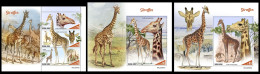 Sierra Leone  2022 Giraffes. (505) OFFICIAL ISSUE - Giraffen
