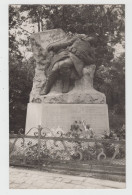 Steenokkerzeel    FOTOKAART   Gedenksteen Der Gesneuvelde Soldaten - Steenokkerzeel