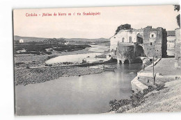 17099 CORDOBA MOLINO DE HIERRO EN EL RIO  GUADALQUIVIR - Córdoba