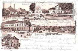 Gruss Aus BRIESEN Mark Braun Litho Bahnhof Glashüttenwerke Schneidemühle Post Gasthof Zur Eisenbahn 30.6. 1905 Gelaufen - Briesen