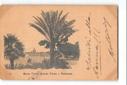 17144 MONTE PINCIO - TIMBRO POGGIO MIRTETO - Mehransichten, Panoramakarten
