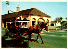 Louisiana New Orleans Horse And Carriage At Cafe Du Monde - New Orleans