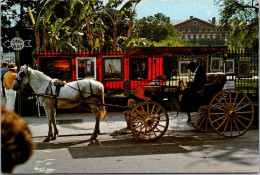 Louisiana New Orleans French Quarter Sighthseeing Carriage - New Orleans