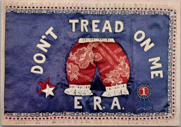 Michigan Grand Rapids Geraald R Ford Museum The ERA Flag - Grand Rapids