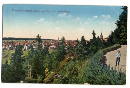 Allemagne--FREUDENSTADT--env 1910--Blick Von Den Hartranftanlagen (animée)..colorisée, Timbre, Cachet - Rudolstadt