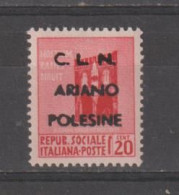 C.L.N.- ARIANO  POLESINE :  MONUMENTI  DISTRUTTI  -  20 C. ROSA  N. - Nationales Befreiungskomitee