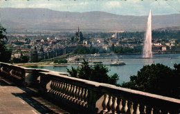 SUISSE GENEVE LA RADE ET LA VILLE DEPUIS COLOGNY - Cologny