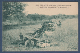 Mauritanie - Tirailleurs Sénégalais à La Manoeuvre - Mauritania