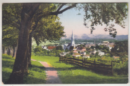 C7600) BAD HALL - OÖ - 1931 Wegansicht Richtung Häuer U. Kirche - Bad Hall