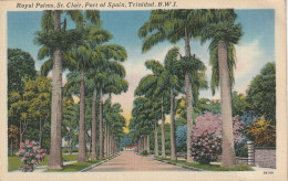 Trinidad, B. W. I. Royal Palms, St. Clair, Port Of Spain - Trinidad