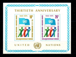 1975 UNO New York: Scott: 262, Yvert: B6, Michel: B6, ** MNH, Block, 30 Jahre UNO, ABO-Qualität, S. Scan - Unused Stamps