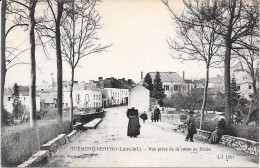 44 GUEMENE PENFAO - Vue Prise De La Route De Blain - Animée - Guémené-Penfao