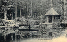 FRANCE - 88 - SAINT DIE - Cascade Des Molières - Montagne D'Ormont - Carte Postale Ancienne - Saint Die