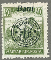 ROMANIA HUNGARY 1919 Yt: RO-TO 101 MH* Transylvania Occupation Oradea, Nagyvárad, Regatul Romaniei, New-Hinged - Transsylvanië