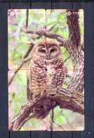 PUZZLES - BIRDS - OWLS - Puzzle