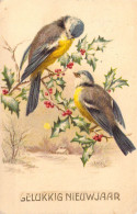 FANTAISIE - Gelluking Nieuwjaar - Oiseaux - Houx - Carte Postale Ancienne - Autres & Non Classés