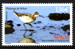 St Pierre Et Miquelon 2023 - Oiseaux, Phalarope De Wilson - 1 Val Neuf // Mnh - Nuevos