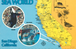 Postcard United States > CA - California San Diego Sea World - San Diego