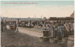 YARMOUTH FISHERY - GIRLS CLEANING HERRING - Great Yarmouth