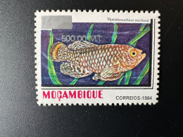 Moçambique Mozambique 1997 / 2000 Mi. 1552 Fisch Fish Poisson Notobranchius Rachovii Overprint Surchargé RARE - Mosambik