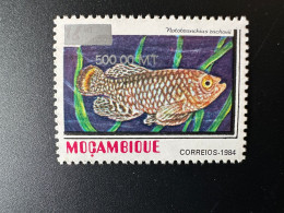 Moçambique Mozambique 1997 / 2000 Mi. 1552 Fisch Fish Poisson Notobranchius Rachovii Overprint Surchargé RARE - Fische