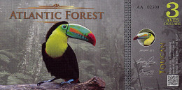 Atlantic Forest 3 Aves UNC Janvier 2015 - Ficción & Especímenes