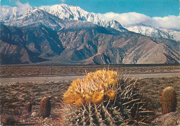 Postcard United States CA - California > Santa Ana Desert Contrast - Santa Ana