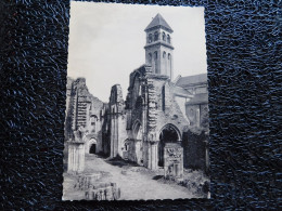 Abbaye D'Orval, Ruines De L'ancienne église Et Clocher De La Basilique  (W17) - Florenville