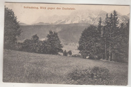 C7667) SCHLADMING - Blick Gegen Den Dachstein ALT ! 1906 - Schladming