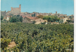 CHATEAUNEUF DU PAPE - Chateauneuf Du Pape