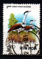 INDIA - 1980 - OTARDE INDIANE - USATO - Oblitérés