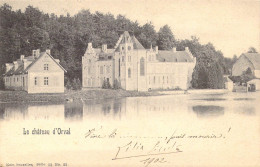 Belgique - Villers Devant Orval - Le Château D'Orval - Carte Postale Ancienne - Altri & Non Classificati